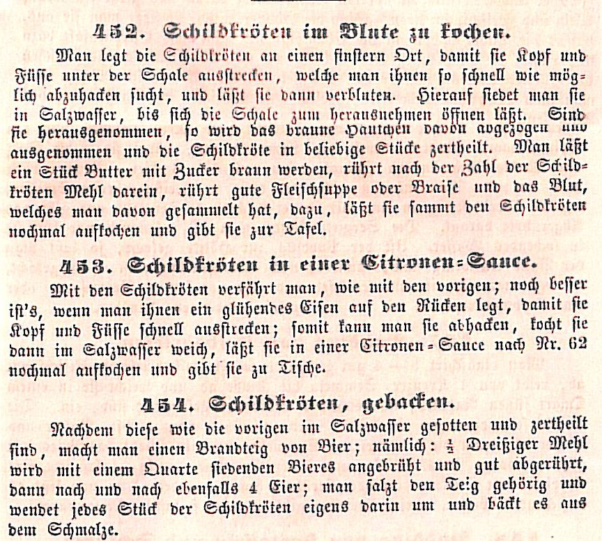 Tradition oder Nahrungstabu? - Anmerkungen zum Verzehr von Schildkröten / Teil 2