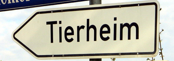Rechtsanwalt Frank Richter informiert: Die Unterbringung von Tieren im Tierheim