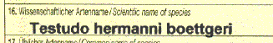 THB oder THH? - Oder ist das nicht so wichtig?