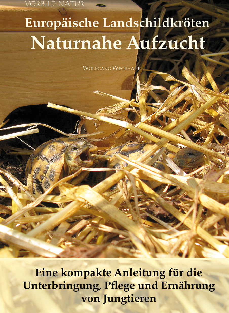 Buchankündigung: Europäische Landschildkröten - Naturnahe Aufzucht von Wolfgang Wegehaupt