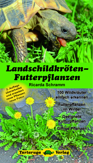 Verlagsankündigung: Ricarda Schramm Landschildkröten-Futterpflanzen 2. Auflage