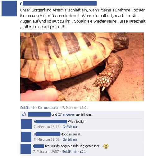 Kuschelzeit für Schildkröten? - Ein kritischer Kommentar