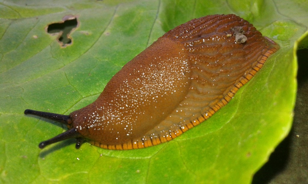 20140726_091148