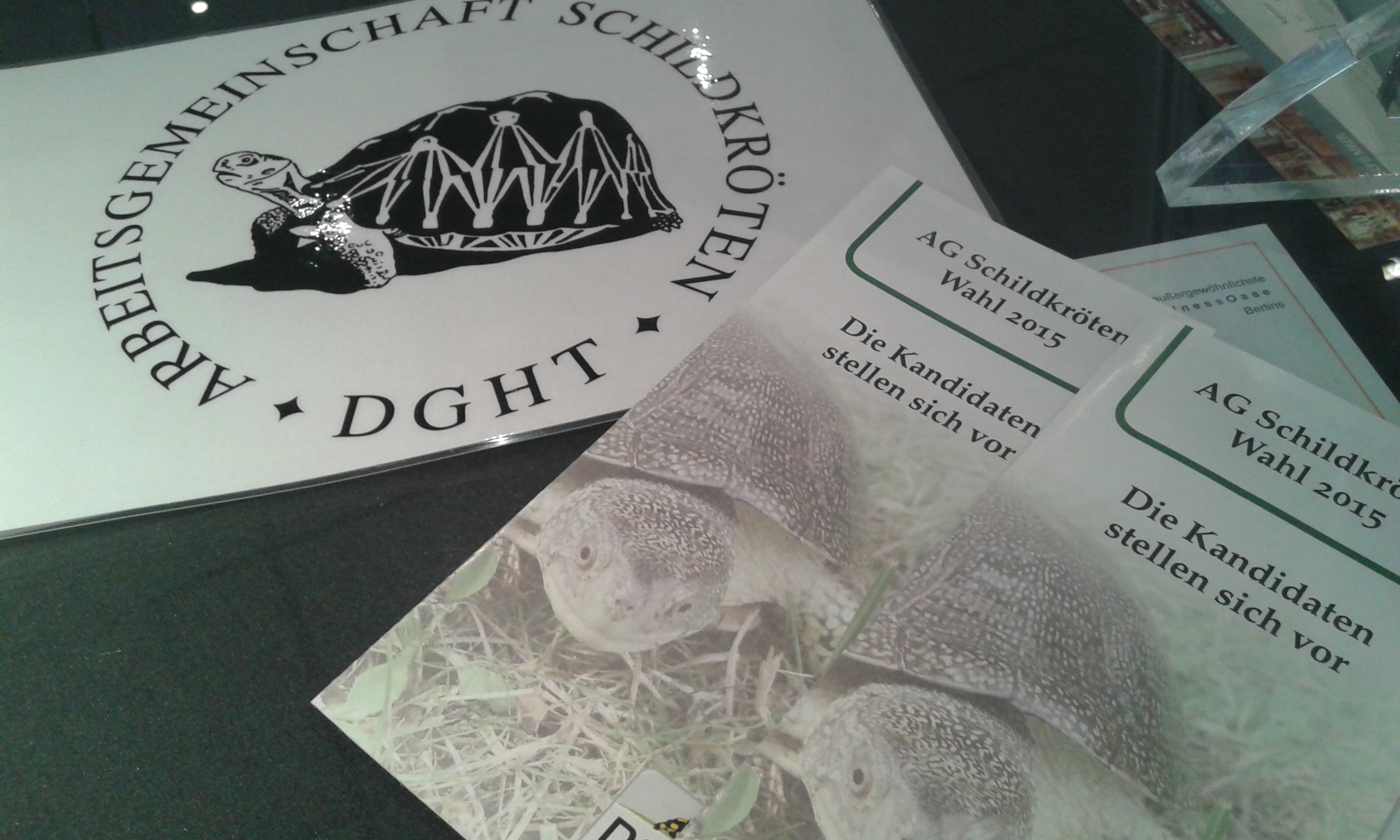 Neue Leitung der AG Schildkröten der DGHT gewählt