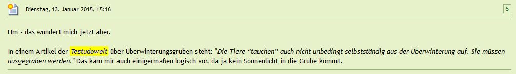 Ausgraben oder nicht?