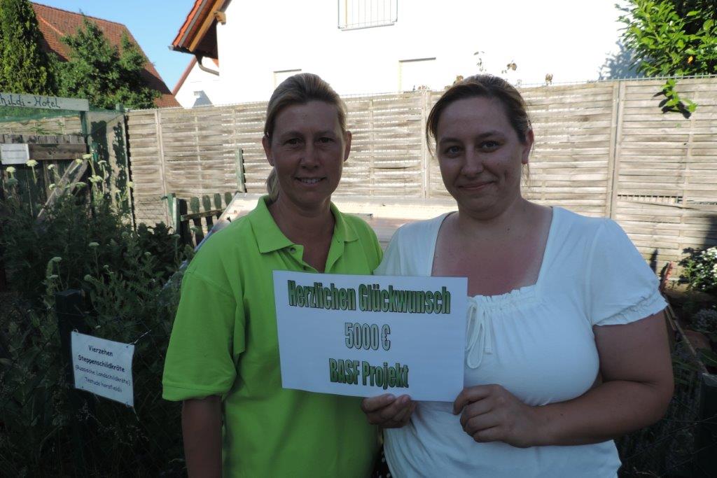 Landschildkröten Auffangstation Kitzingen gewinnt weltweiten Teamwettbewerb von BASF