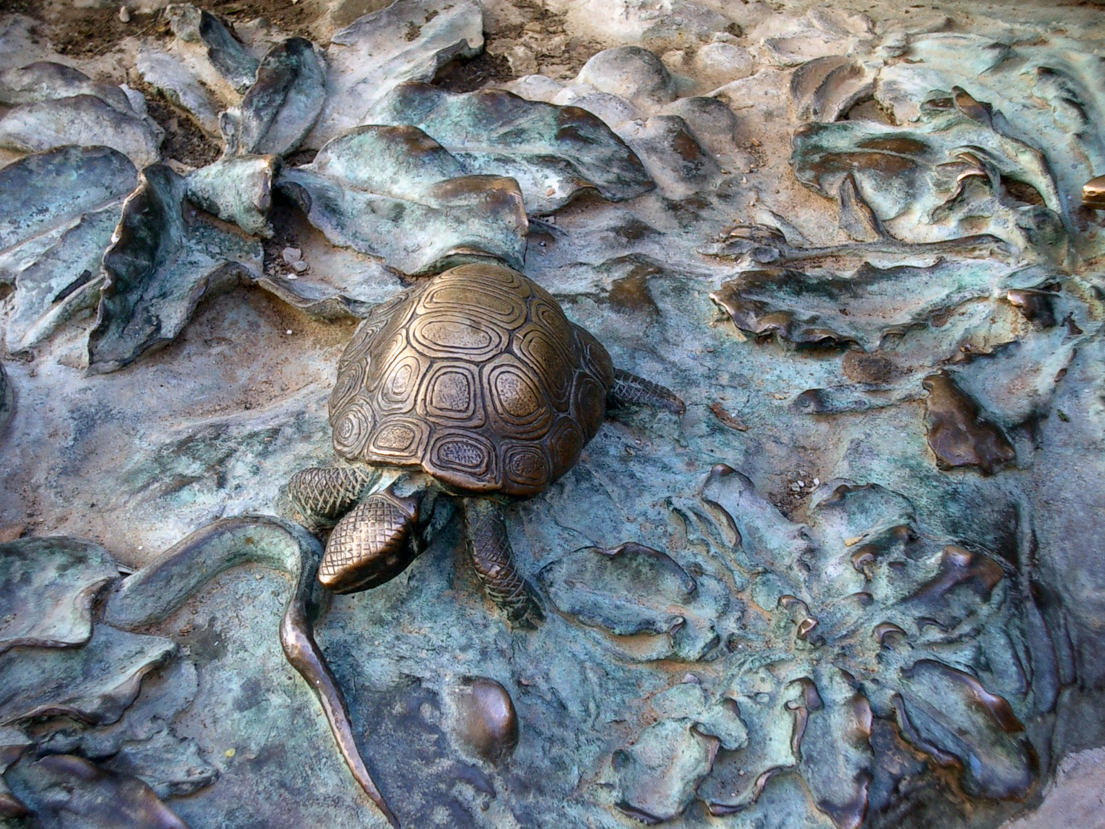 Auf Schildkrötensafari mit Elke Wallrapp (Folge 30)