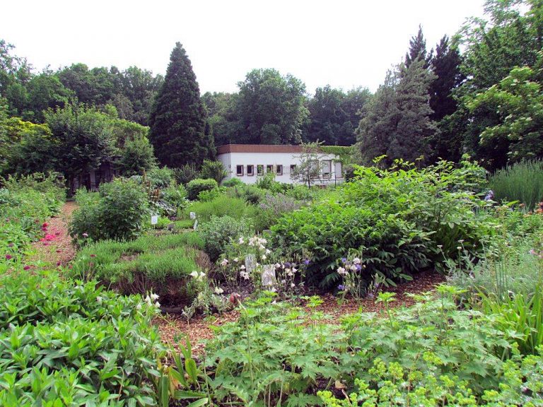 Impressionen aus dem Botanischen Garten in Chemnitz TESTUDOWELT