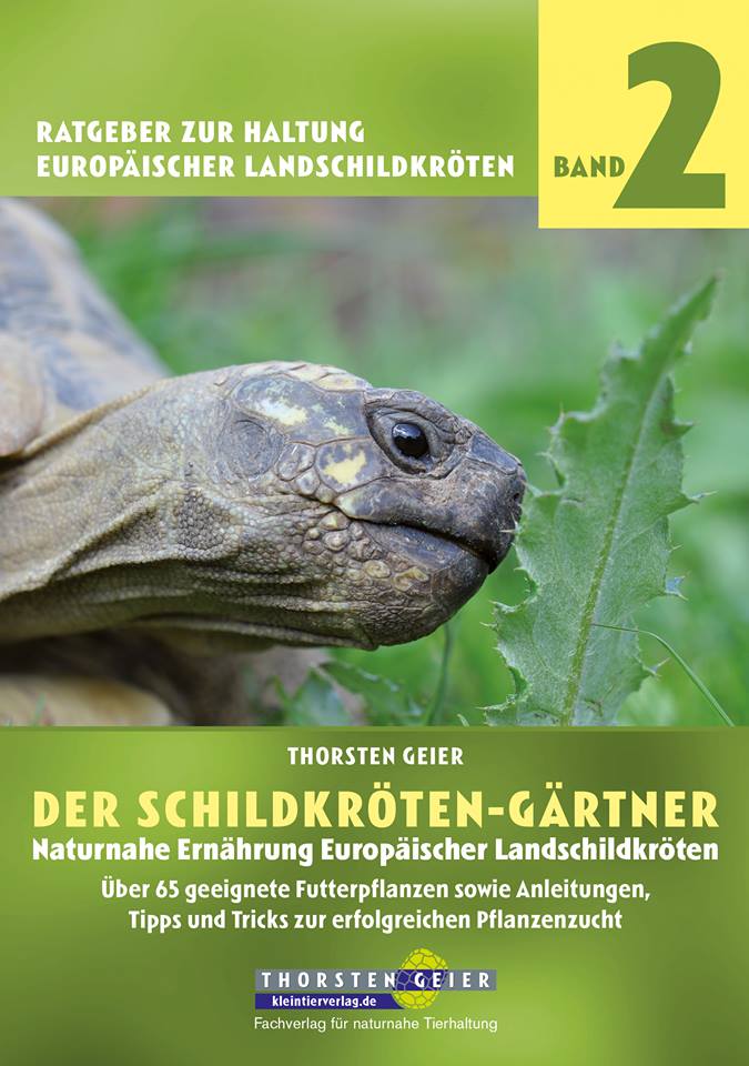 Thorsten Geiers neues Buch: Der Schildkrötengärtner