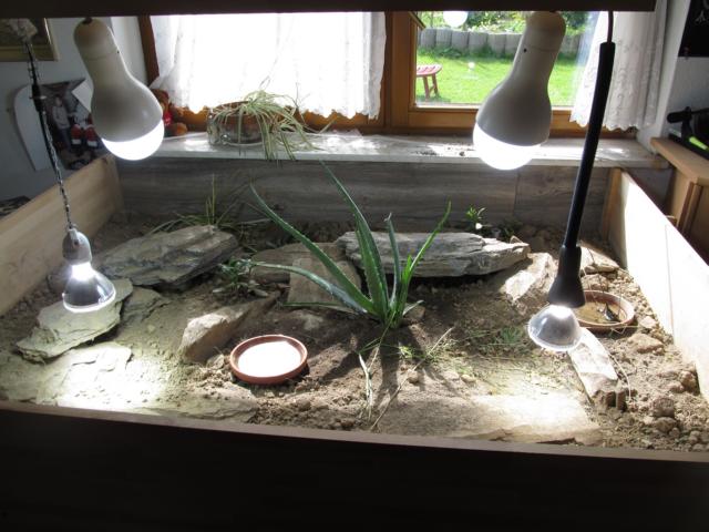 Neues Innengehege für unsere Spaltenschildkröten