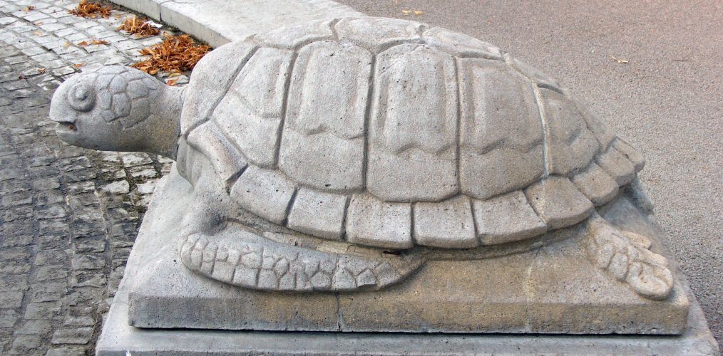 Auf Schildkrötensafari mit Elke Wallrapp (Folge 46)