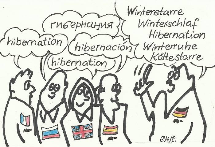 Ein Wort wie eine Bombe