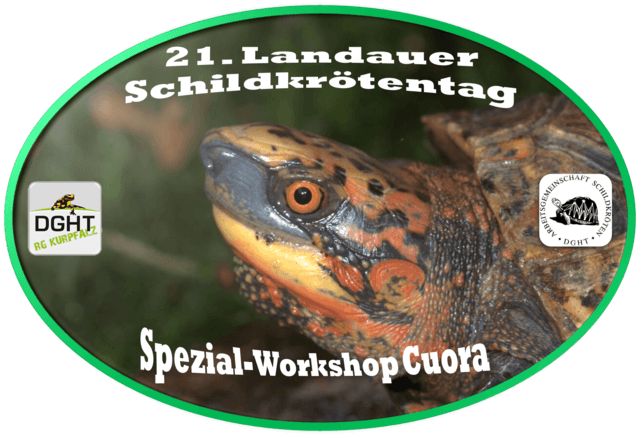 Das Programm des 21. Landauer Schildkrötentags