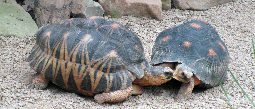 Zu Besuch im Leipziger Zoo