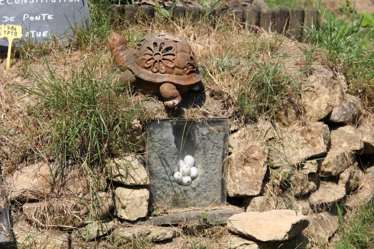 Das Terrarium von Kerdanet