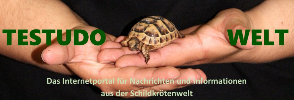 In eigener Sache: Wie das mit den Kommentaren funktioniert (FAQ)