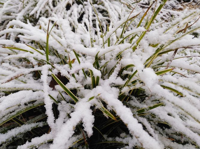 Wir wintern uns ein und wünschen ein frohes Fest