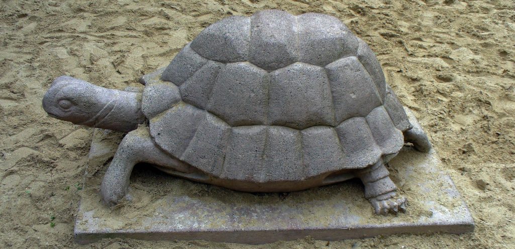 Auf Schildkrötensafari mit Elke Wallrapp (Folge 62)