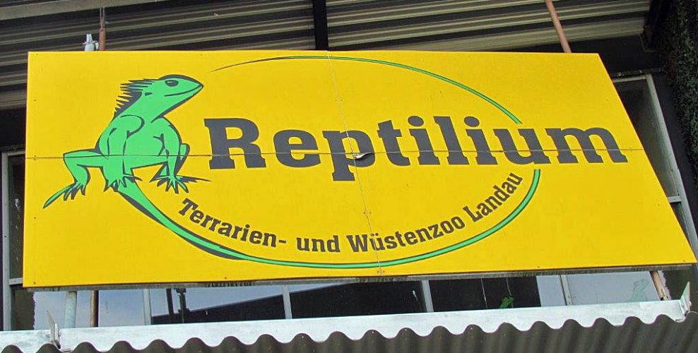 Ein Besuch im Reptilium Landau