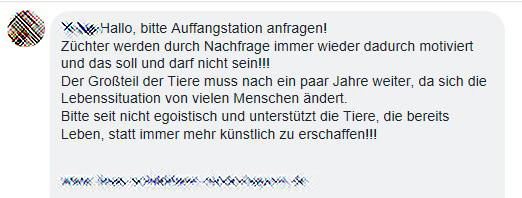 "Püppis" left the building - Ein Erfahrungsbericht