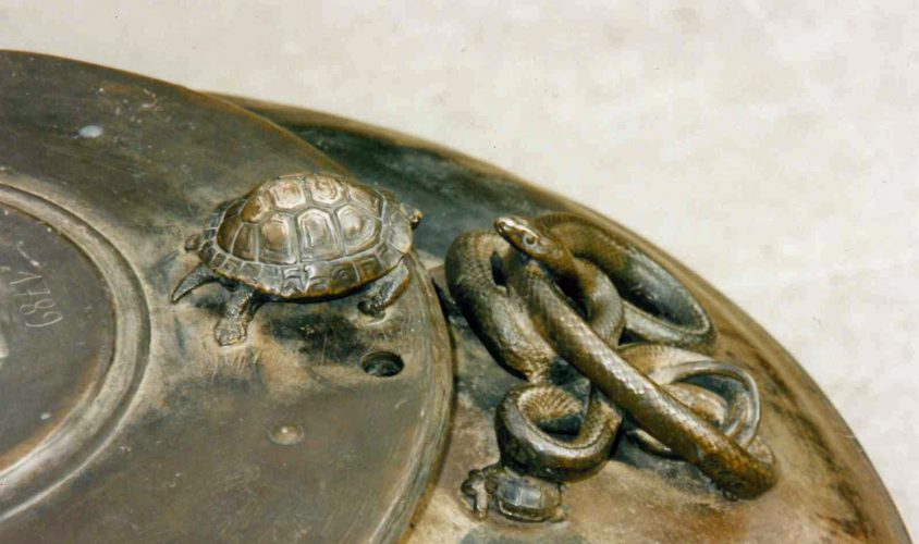 Auf Schildkrötensafari mit Elke Wallrapp (Folge 67)