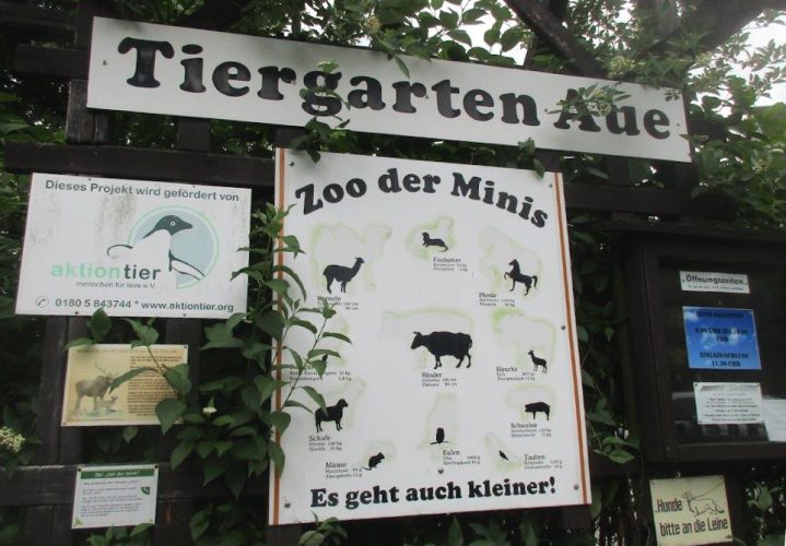Zu Besuch im Zoo der Minis in Aue