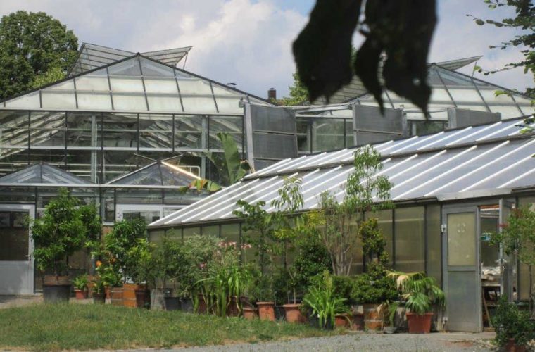 Beim Herbstfest im Botanischen Garten Chemnitz