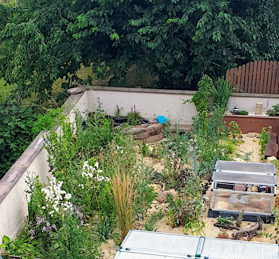 Schrittweise Feindliche Ubernahme Oder Wie Aus Einem Garten Eine Gehege Wurde Teil 1 Testudowelt