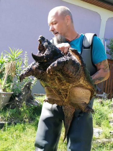 Fokus Österreich: RespekTurtle - Gnadenhof, Tierheim, Auffangstation