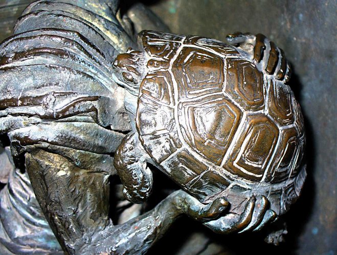 Auf Schildkrötensafari mit Elke Wallrapp (Folge 85)