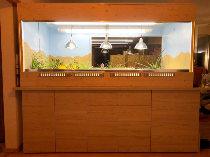 Neubau meiner Terrarienanlage für Testudo kleinmanni (Ägyptische Landschildkröten) Teil 2