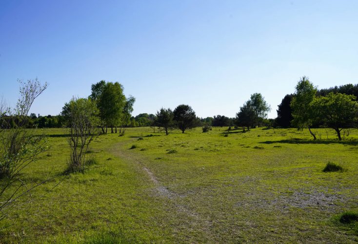 Kiesland und Heiden - eine Inspirationsquelle