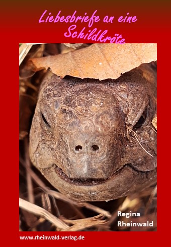 Buchvorstellung: Liebesbriefe an eine Schildkröte von Regina Rheinwald
