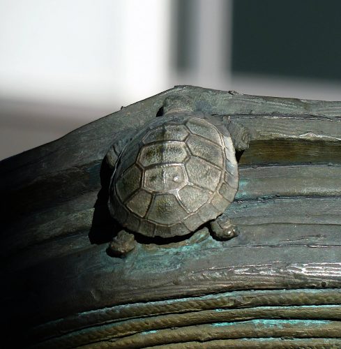 Auf Schildkrötensafari mit Elke Wallrapp (Folge 95)